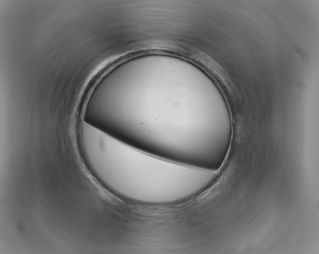 X0000112481024200908171008