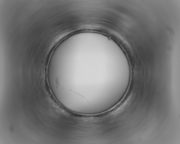 X0000112481025200908171008