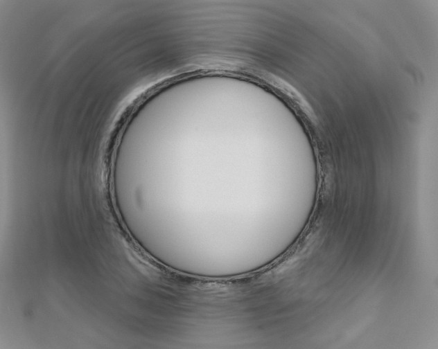 X0000112481027200908171008