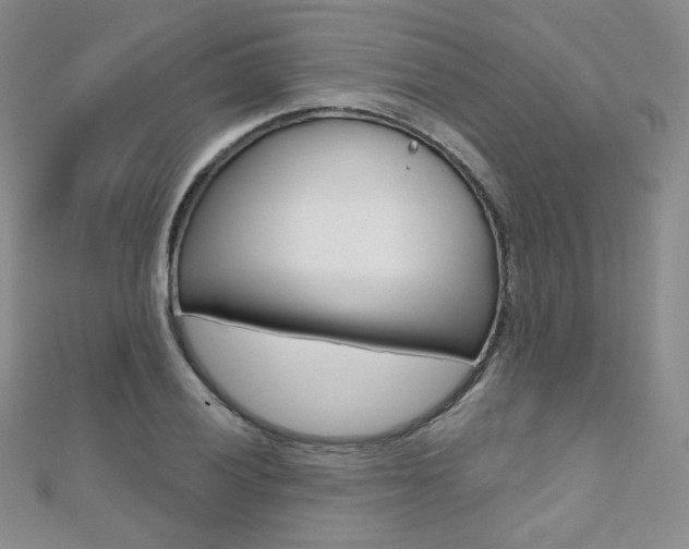 X0000112481028200908171008
