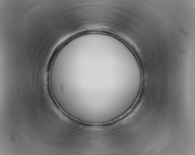 X0000112481029200908171008