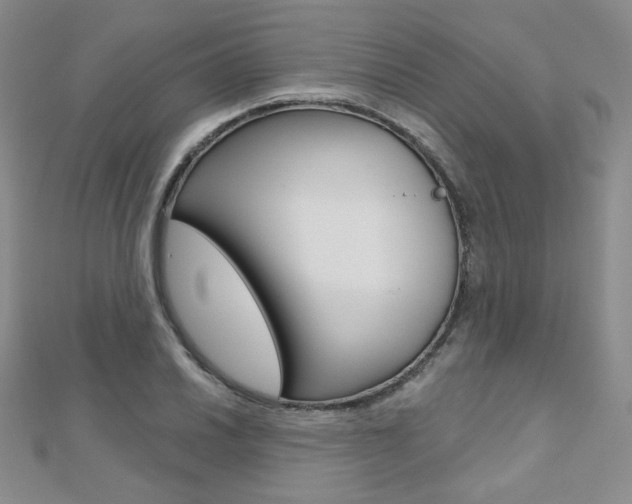 X0000112481030200908171008
