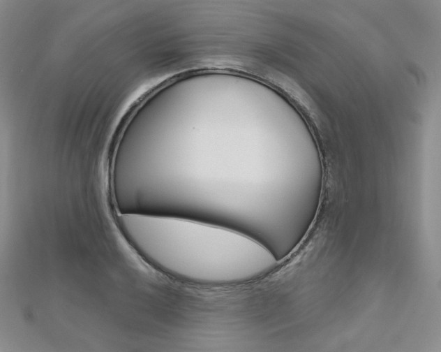 X0000112481032200908171008