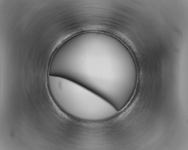 X0000112481033200908171008