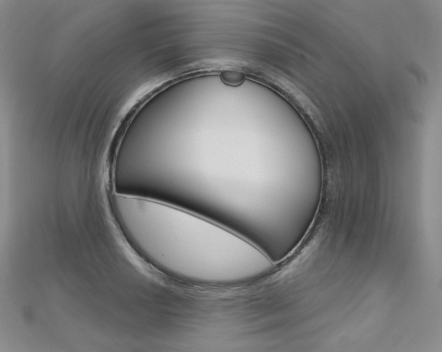 X0000112481034200908171008