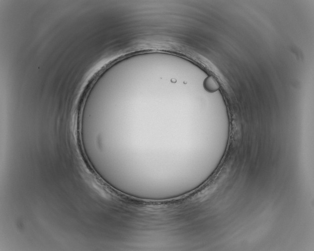 X0000112481035200908171008