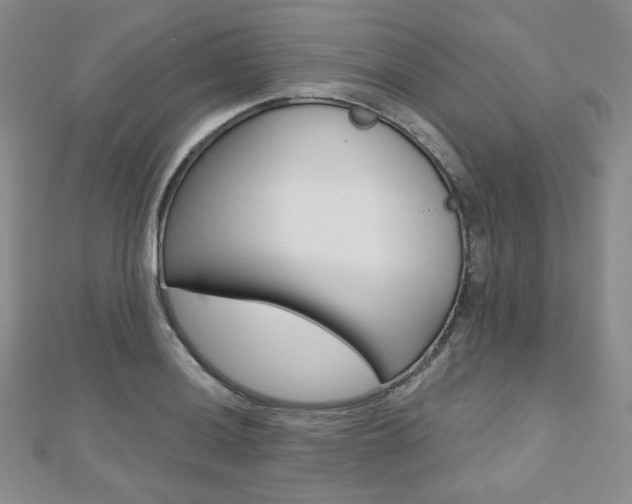 X0000112481036200908171008
