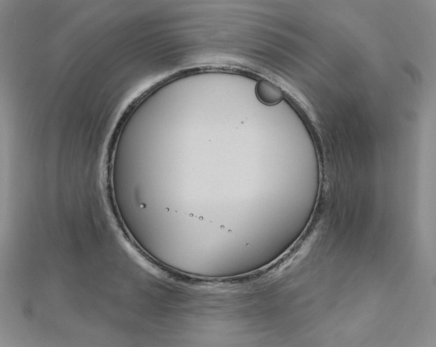 X0000112481037200908171008