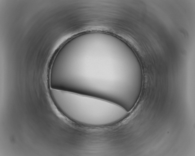 X0000112481038200908171008