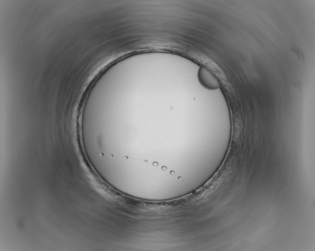 X0000112481039200908171008