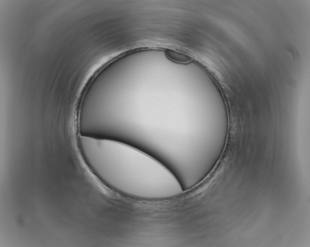 X0000112481040200908171008