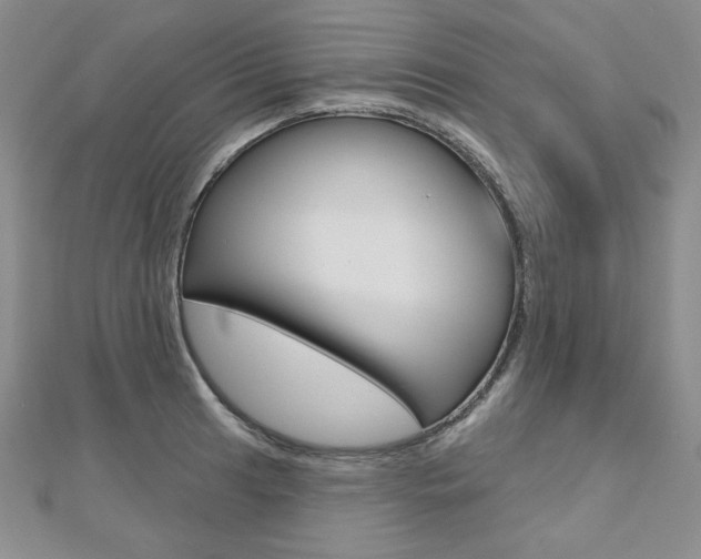 X0000112481041200908171008