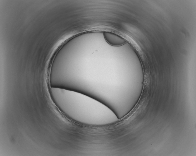 X0000112481043200908171008