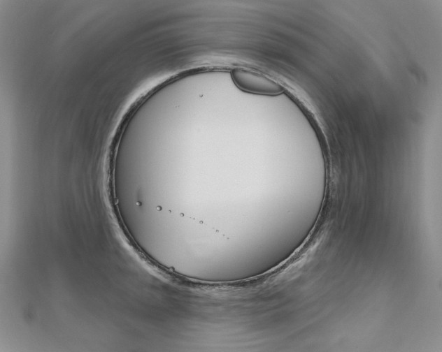 X0000112481045200908171008