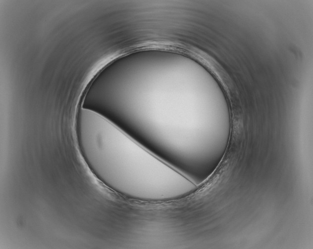X0000112481050200908171008