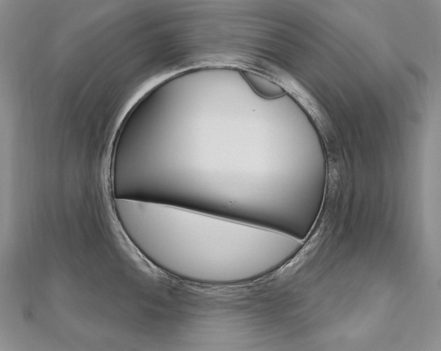 X0000112481052200908171008