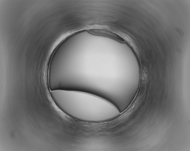 X0000112481054200908171008