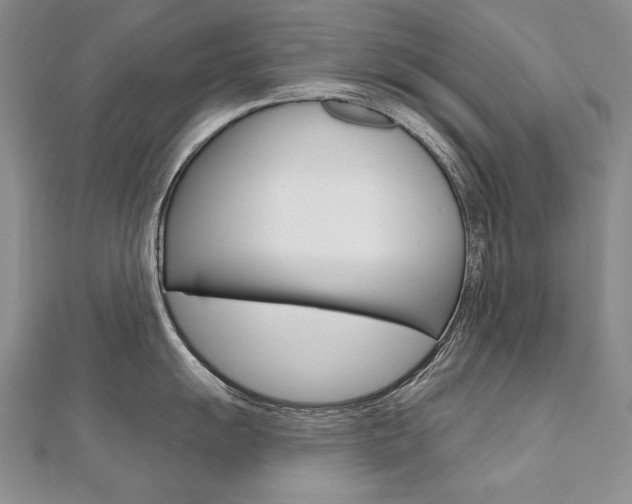 X0000112481055200908171008