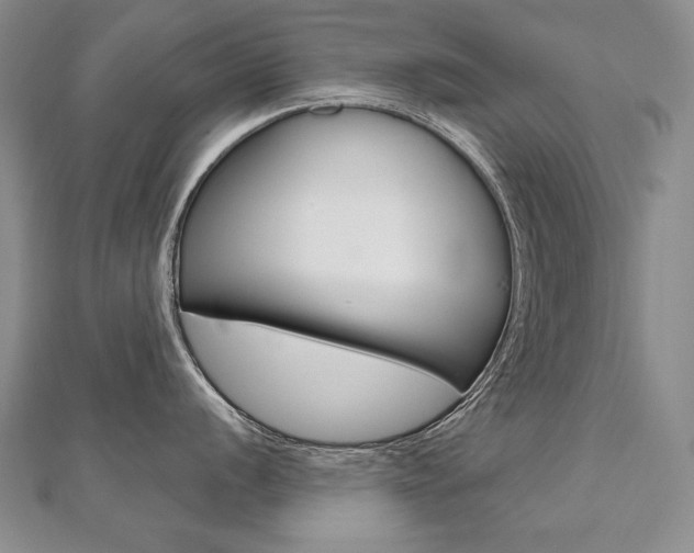 X0000112481056200908171008