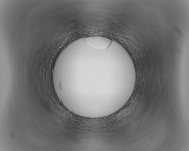 X0000112481057200908171007