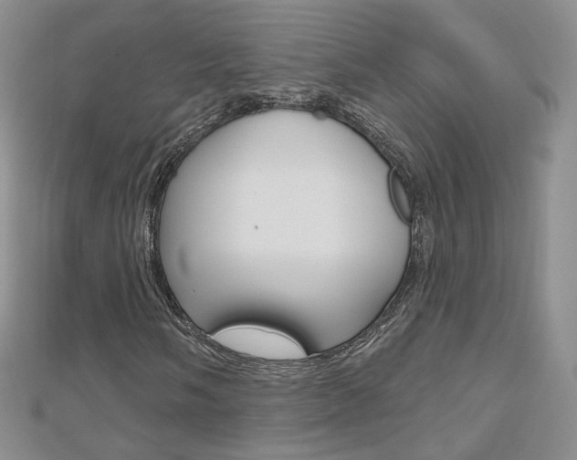 X0000112481058200908171007