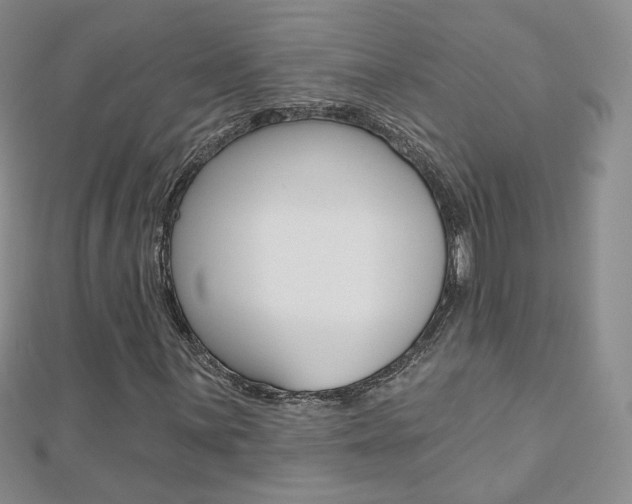 X0000112481059200908171007