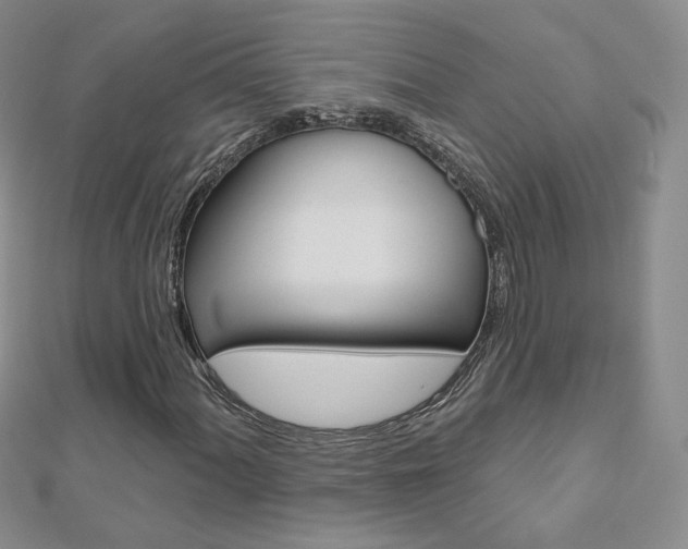 X0000112481060200908171007