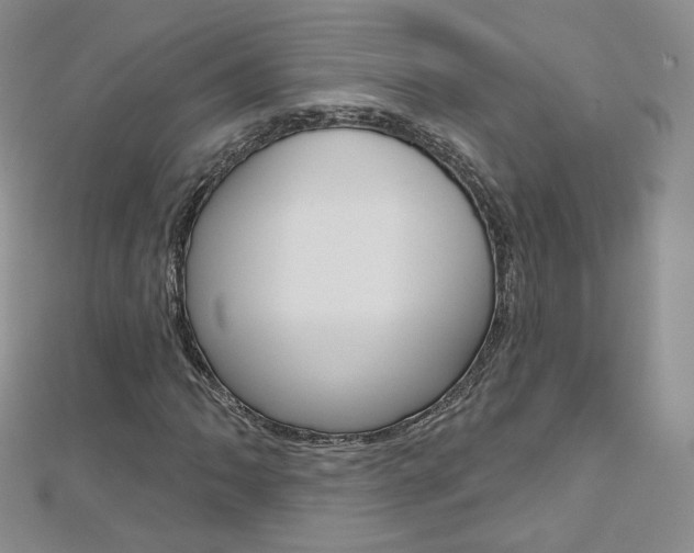 X0000112481062200908171007