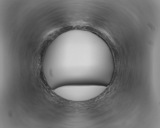 X0000112481063200908171007