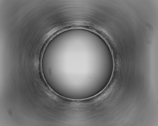 X0000112481065200908171007