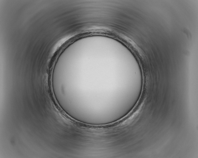 X0000112481066200908171007