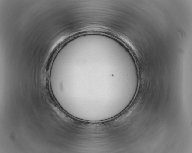 X0000112481067200908171007