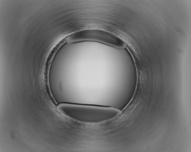 X0000112481068200908171007