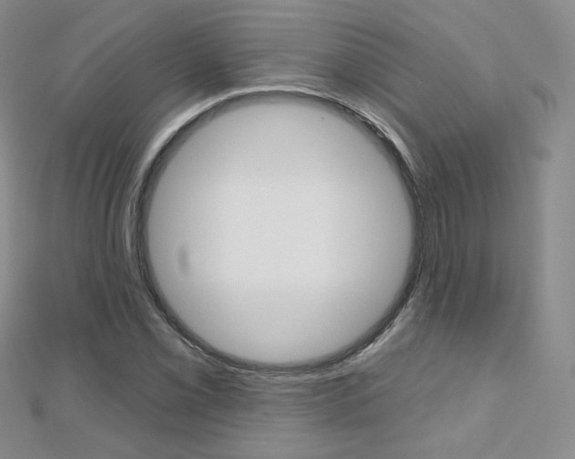 X0000112481069200908171007
