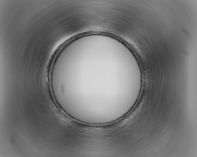 X0000112481070200908171007