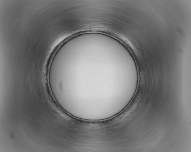 X0000112481071200908171007