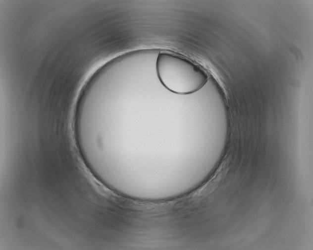 X0000112481072200908171007