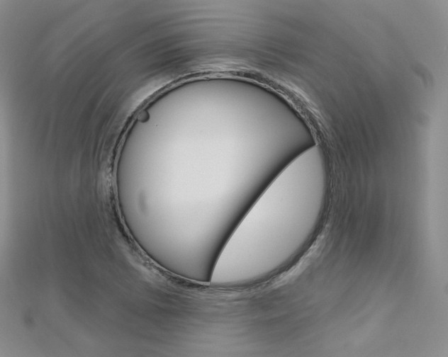 X0000112481073200908171007