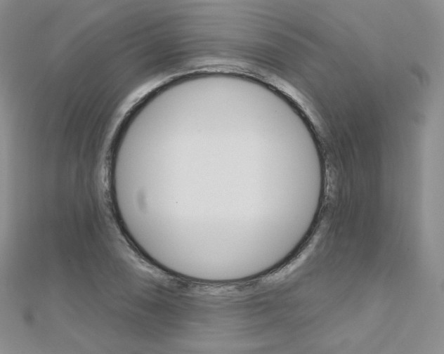 X0000112481074200908171007