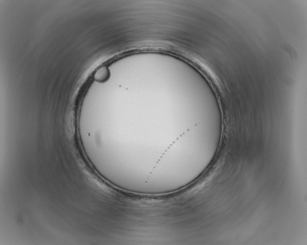 X0000112481075200908171007