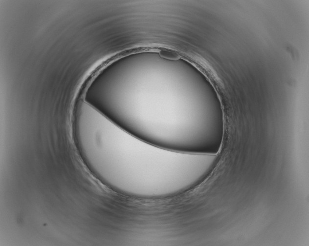 X0000112481076200908171007