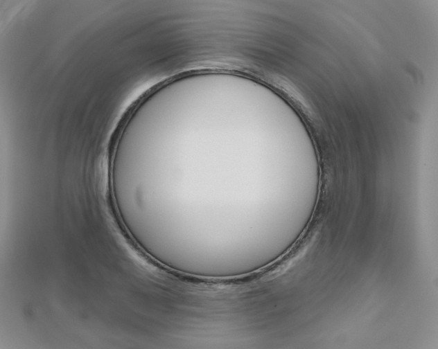 X0000112481079200908171007