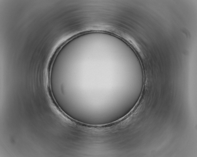 X0000112481080200908171007