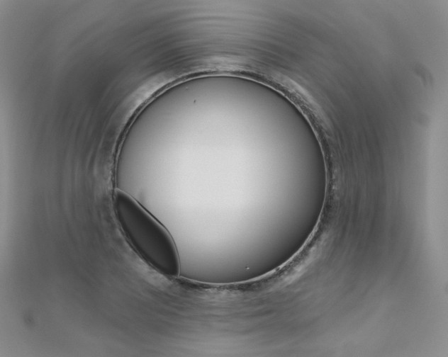 X0000112481081200908171007