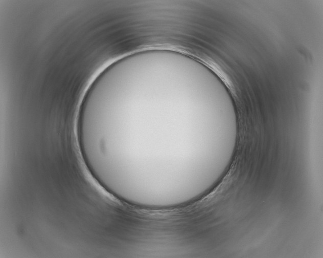 X0000112481084200908171007