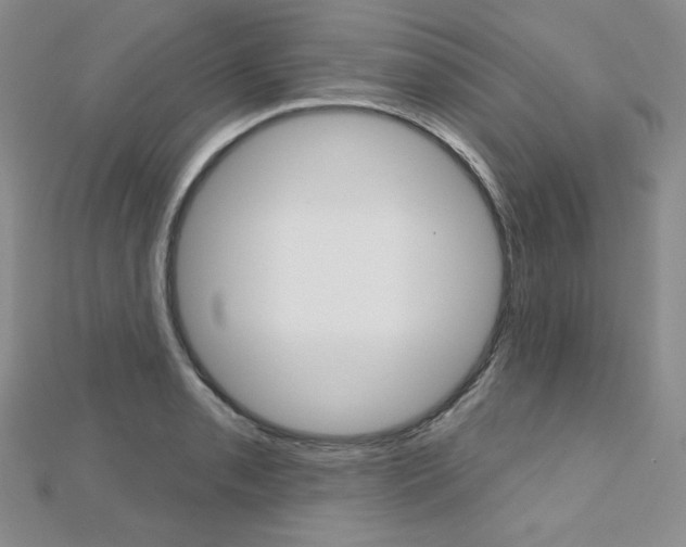 X0000112481085200908171007