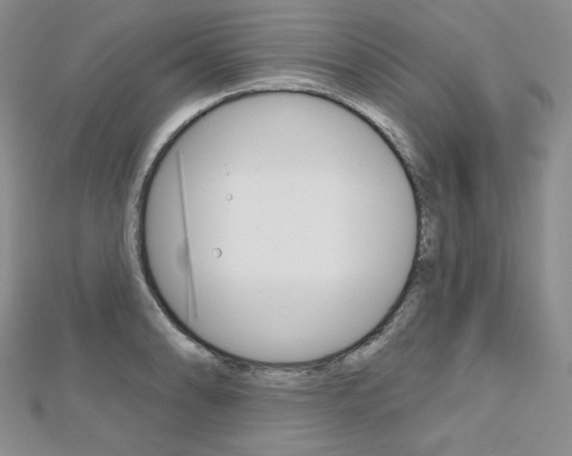 X0000112481086200908171007
