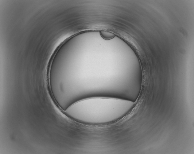 X0000112481087200908171007