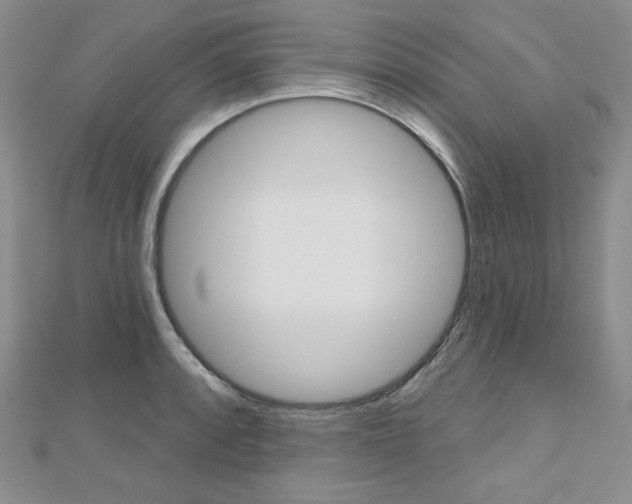 X0000112481088200908171007