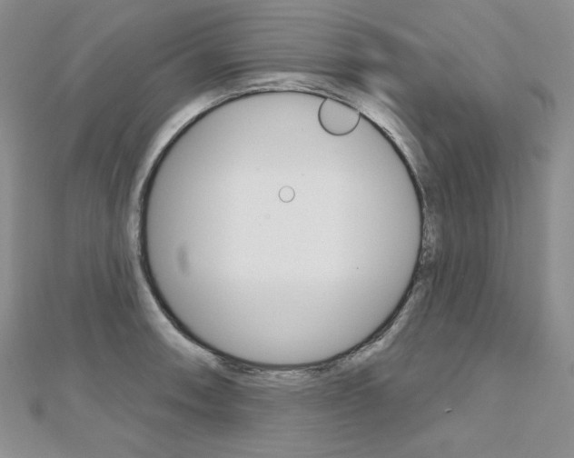 X0000112481090200908171007